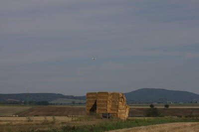 IMG 5924